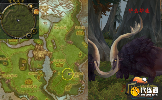 魔兽世界怀旧服WLK我们有技术任务完成攻略