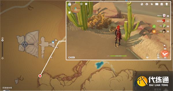 原神金蔷薇种子全收集攻略 原神金蔷薇种子全收集攻略