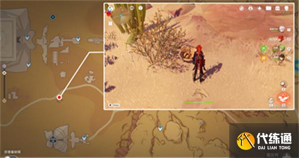 原神金蔷薇种子全收集攻略 原神金蔷薇种子全收集攻略