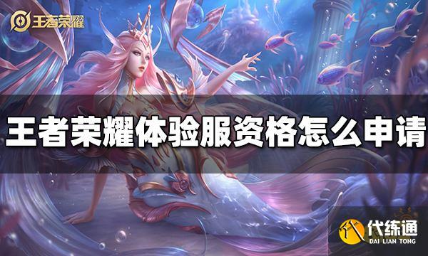 王者荣耀体验服资格怎么申请 体验服资格申请步骤详解