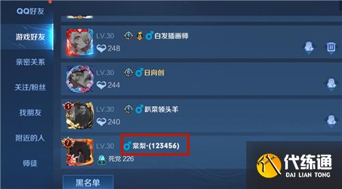 王者荣耀名字后面括号里的名字怎么改