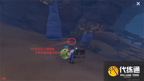 原神刺葵木快速采集路线图分享