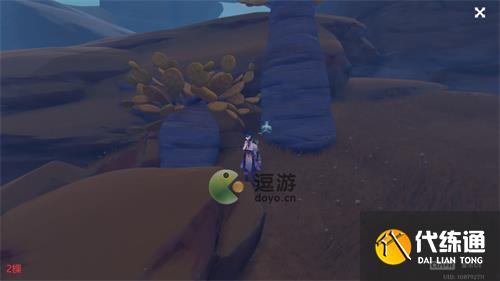 原神刺葵木快速采集路线图分享