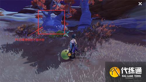 原神刺葵木快速采集路线图分享