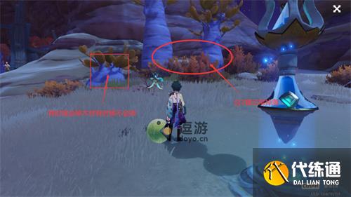 原神刺葵木快速采集路线图分享