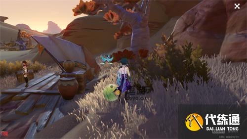 原神刺葵木快速采集路线图分享