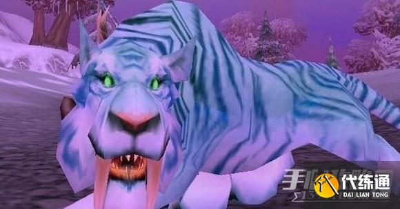 《魔兽世界》怀旧服wlk猎人必抓五只宠物是什么