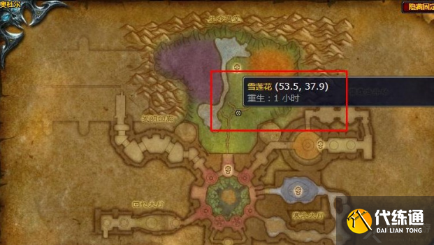 魔兽世界雪莲花在哪采集