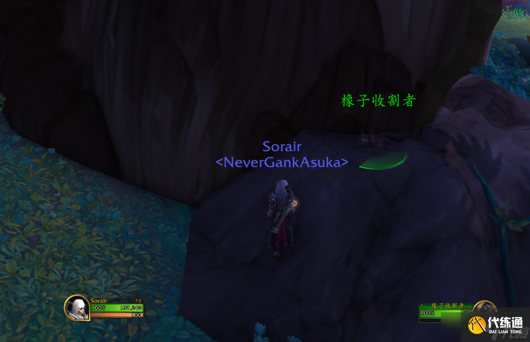 魔兽世界10.0栗子宠物获得攻略 栗子如何获得?