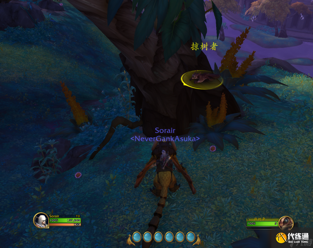 魔兽世界10.0栗子宠物获得攻略 栗子如何获得?