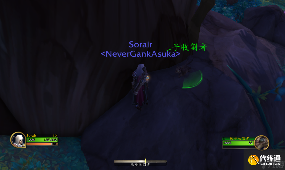 魔兽世界10.0栗子宠物获得攻略 栗子如何获得?