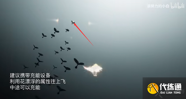 光遇小金人全部位置