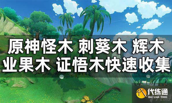 《原神》须弥木材快速收集攻略 怪木 刺葵木 辉木 业果木 证悟木快速收集
