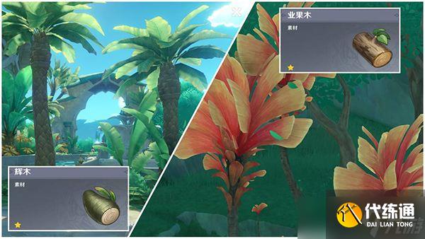 《原神》须弥木材快速收集攻略 怪木 刺葵木 辉木 业果木 证悟木快速收集