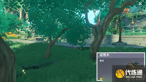 《原神》须弥木材快速收集攻略 怪木 刺葵木 辉木 业果木 证悟木快速收集
