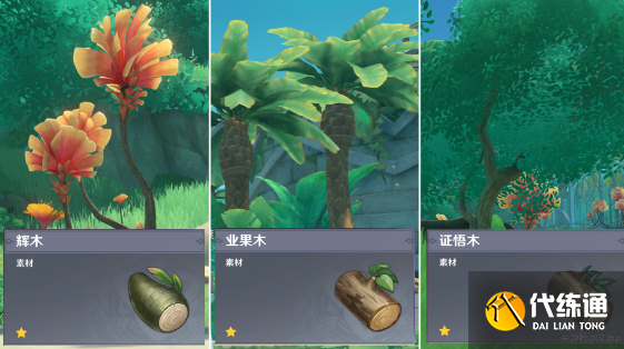 原神须弥木材收集攻略