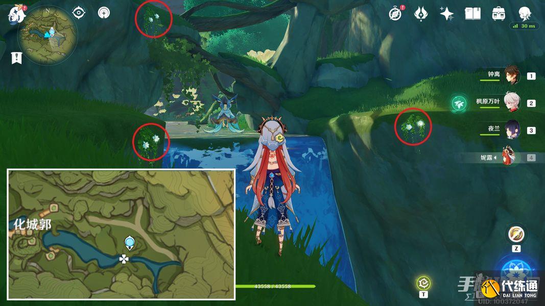 《原神》纳西妲培养素材全路线解析