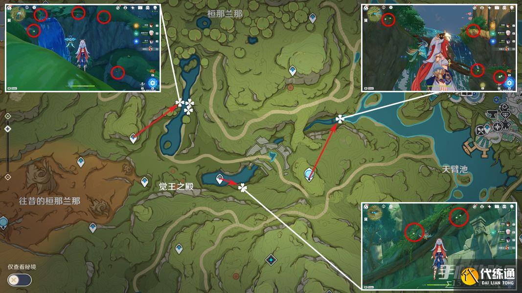 《原神》纳西妲培养素材全路线解析