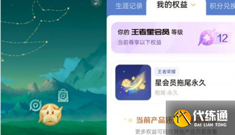 王者荣耀星会员15级多少钱