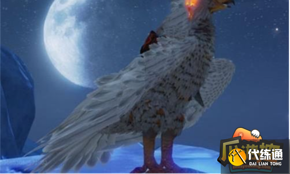 妄想山海赤翎雕在哪里抓2.png 妄想山海赤翎雕在哪里抓2.png
