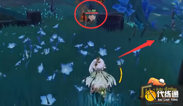 原神火蕈兽位置