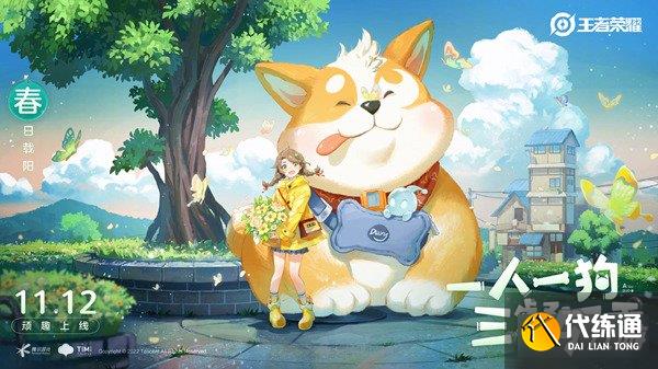 王者荣耀哪个英雄的新皮肤名称是顽趣呢