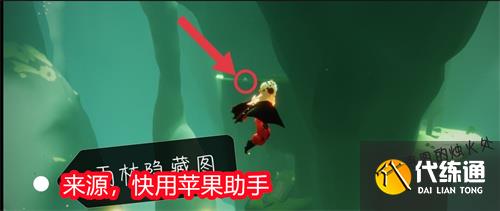 光遇雨林神龛位置大全 神龛具体位置一览