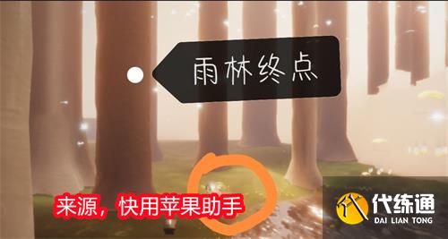 光遇雨林神龛位置大全 神龛具体位置一览