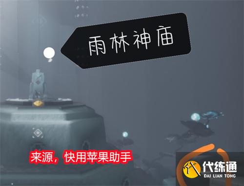 光遇雨林神龛位置大全 神龛具体位置一览