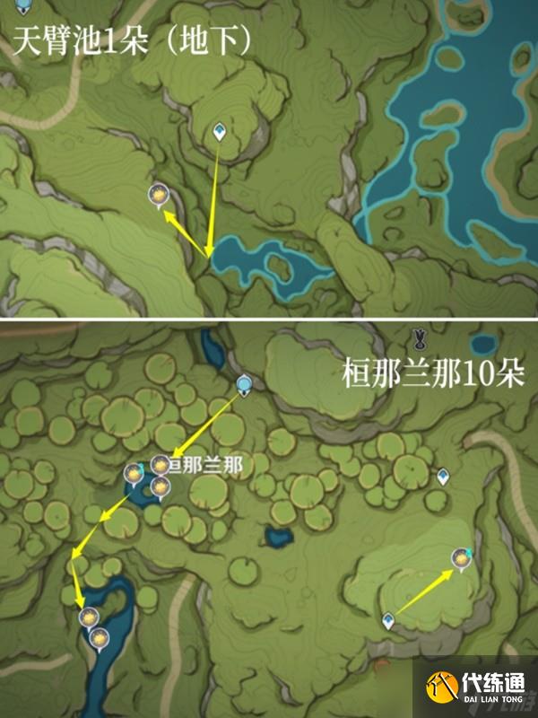 《原神》3.2版莱依拉装备搭配指南 莱依拉武器怎么选？