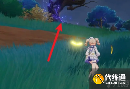 原神雷樱树位置攻略