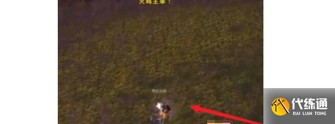 魔兽世界火鸡终结者成就完成方法 魔兽世界火鸡终结者成就完成方法