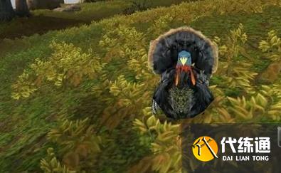 魔兽世界wlk感恩节火鸡在哪 感恩节火鸡位置介绍