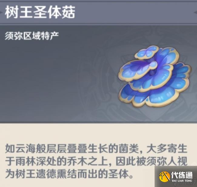 原神树王圣体菇位置图