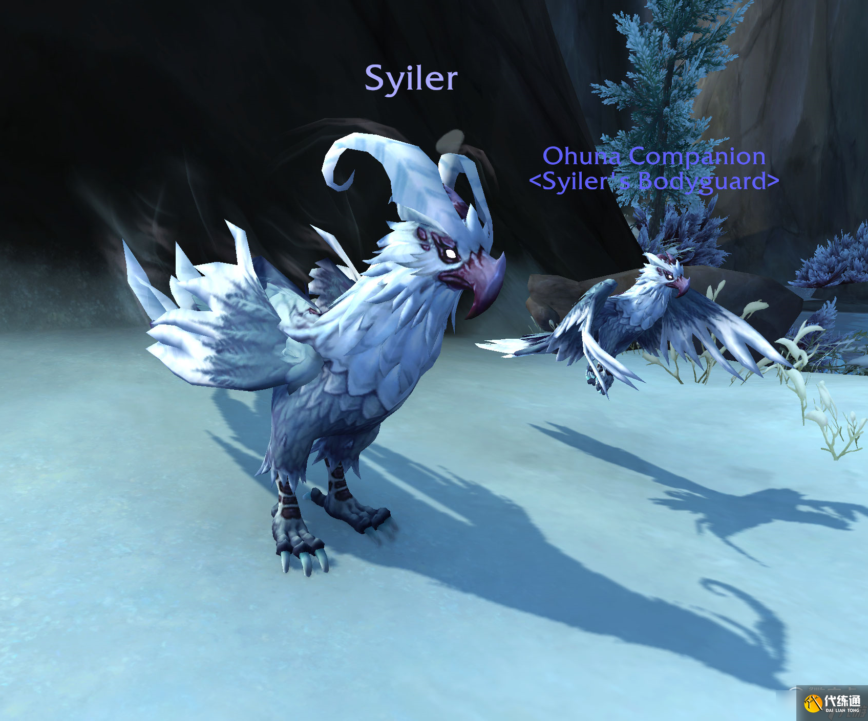 魔兽世界10.0洪荒狩猎大鸟尤兰托击怎么打方法