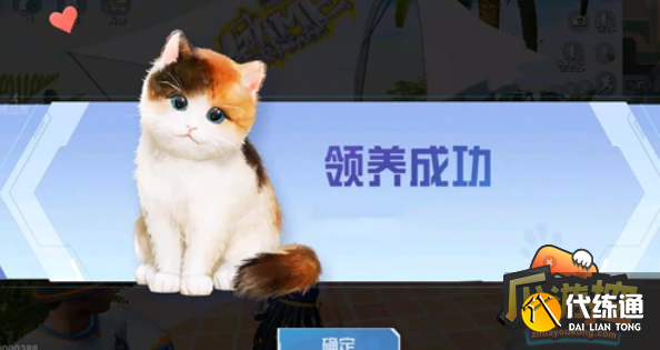 和平精英家园怎么养猫