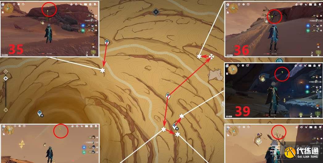 原神愚妄行宫草神瞳位置攻略