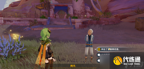 原神金蔷薇种子任务怎么做