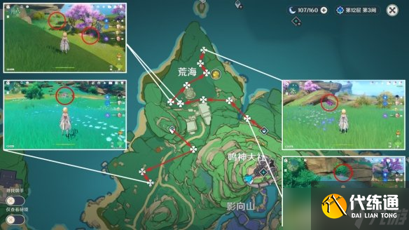 原神绯樱绣球分布图 3.5绯樱绣球收集路线