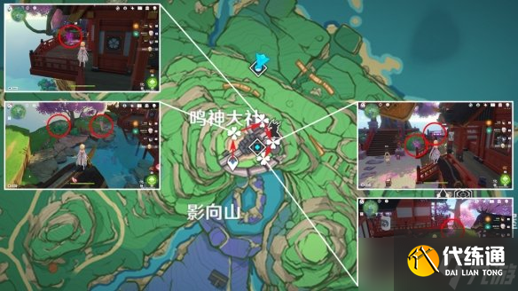 原神绯樱绣球分布图 3.5绯樱绣球收集路线