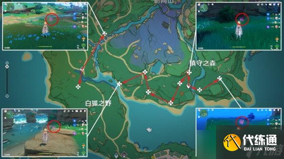 原神绯樱绣球分布图 3.5绯樱绣球收集路线