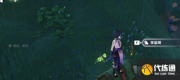 原神须弥水泡奇馈宝箱位置