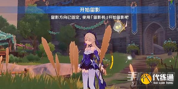 原神风物留影攻略