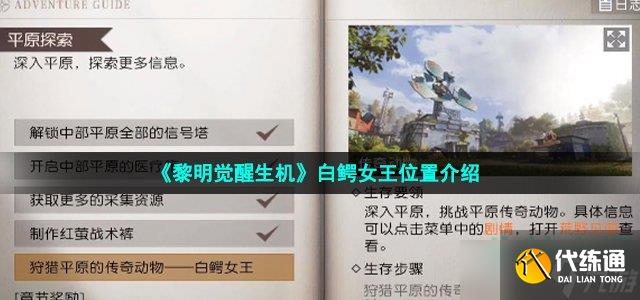 《黎明觉醒生机》白鳄女王位置介绍