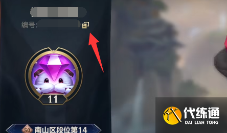 英雄联盟手游好友称号怎么获得