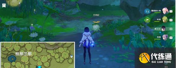 原神劫波莲采集路线