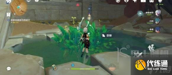 原神假若她们能知幽玄成就攻略 原神假若她们能知幽玄成就如何完成