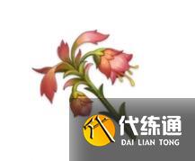 《原神》悼灵花哪里多 《原神》悼灵花哪里多