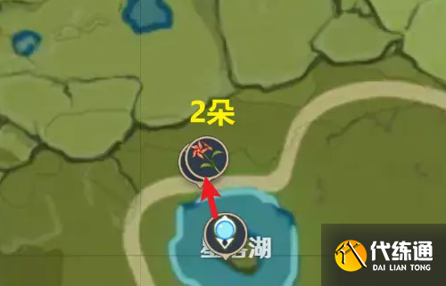 原神风车菊分布图 原神风车菊最佳采集路线