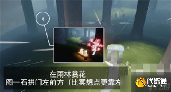 光遇2023花憩节赏花位置在哪里-2023花憩节赏花位置一览